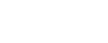 Dummy Flight Ticket Service Logo